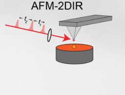 AFM-2DIR